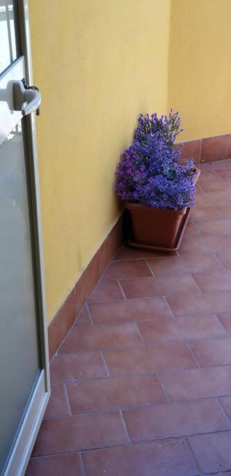 Borgo San Giorgio Apartment Кастелмола Екстериор снимка